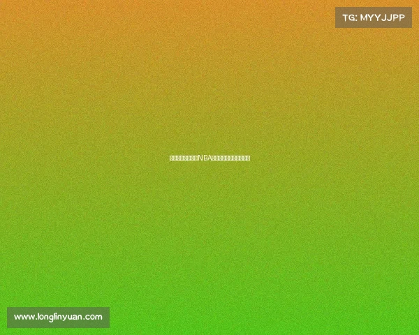 《追寻篮球传奇：NBA球星的奋斗与荣耀历程》