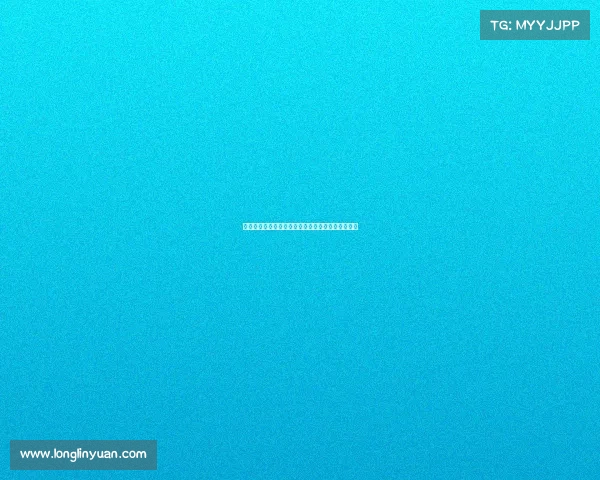 赛季回顾与展望：全面解析各队表现与未来发展趋势