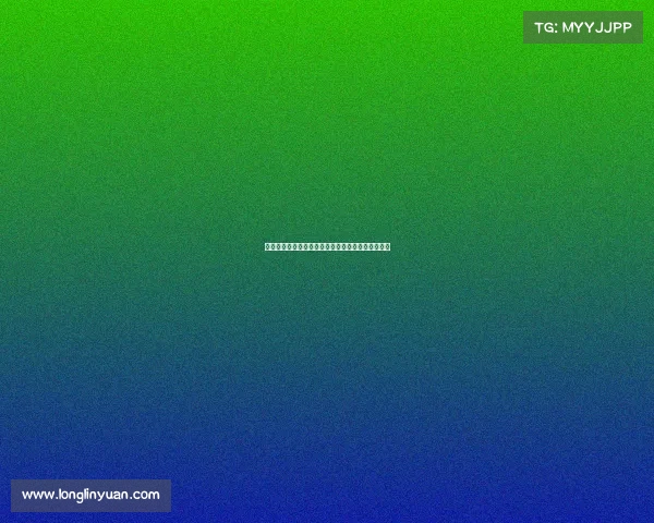 赛季回顾与展望：全面解析各队表现与未来发展趋势